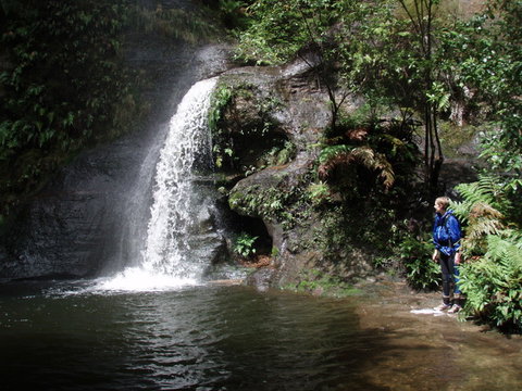 Blue Mountains Adventure Company - Hotel Accommodation 1