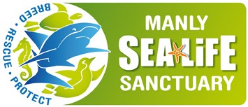 Manly SEA LIFE Sanctuary - Hotel Accommodation 0