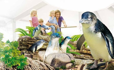 Manly SEA LIFE Sanctuary - Hotel Accommodation 1