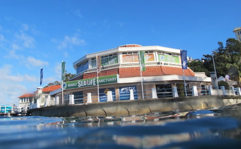 Manly SEA LIFE Sanctuary - Hotel Accommodation 2