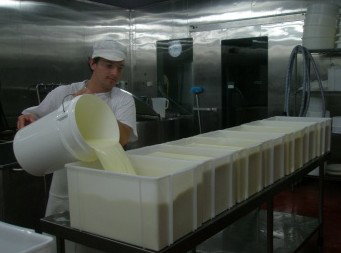 Witches Chase Cheese Co - Hotel Accommodation 1