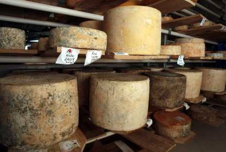 Witches Chase Cheese Co - Hotel Accommodation 3