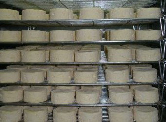 Witches Chase Cheese Co - Hotel Accommodation 5