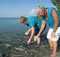 Aquascene Fish Feeding Sanctuary - Hotel Accommodation