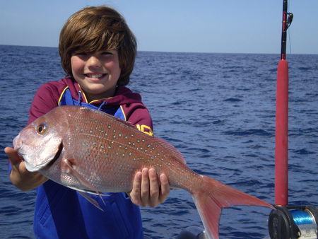 Mills Charters Fishing And Whale Watch Cruises - Hotel Accommodation 4