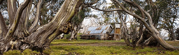 High Country Scenic Tours - Hotel Accommodation