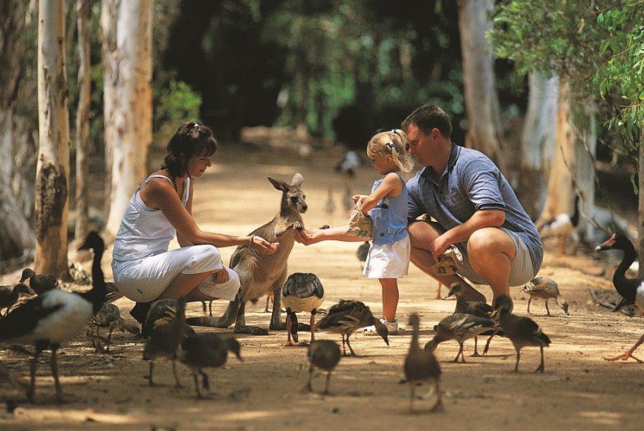 Rowes Bay QLD Hotel Accommodation