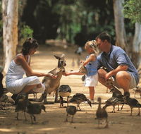 Billabong Sanctuary - Hotel Accommodation