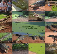 The Malcolm Douglas Crocodile Park - Hotel Accommodation