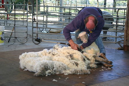 Caversham Wildlife Park - Hotel Accommodation 3