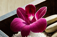 Blush Beauty Saloons - Hotel Accommodation 4