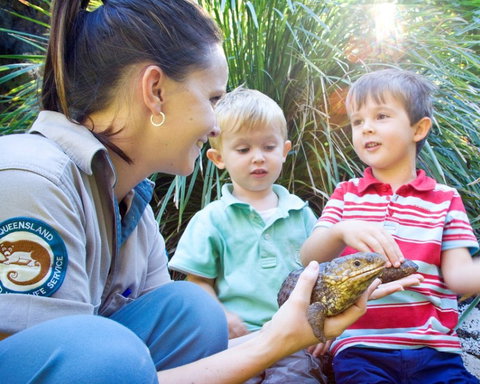 David Fleay Wildlife Park - Hotel Accommodation 3