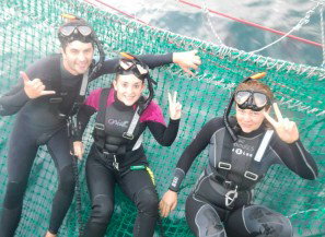 Dolphin Swim Australia - Hotel Accommodation 7