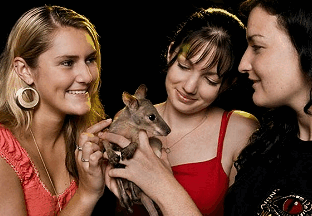 Cairns Night Zoo - Hotel Accommodation 1