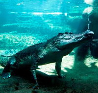 WILD LIFE Sydney Zoo - Hotel Accommodation