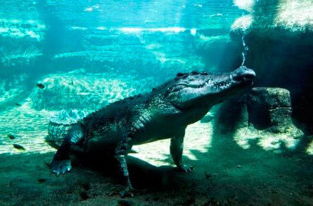 WILD LIFE Sydney Zoo - Hotel Accommodation 0