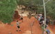 WILD LIFE Sydney Zoo - thumb 2