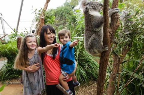 WILD LIFE Sydney Zoo - Hotel Accommodation 3