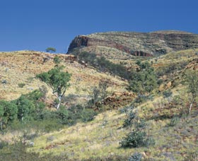 Newman WA Hotel Accommodation