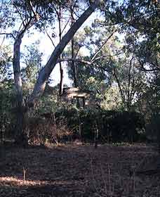Ghost House Walk Trail, Yanchep National Park - Hotel Accommodation 0