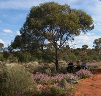 Karlkurla Bushland Park