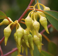 Mount Short Scenic Drive