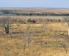 Marglu Billabong - Hotel Accommodation 0