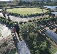 Kojonup Rose Maze - Hotel Accommodation