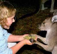 Discovery Bay's Walk on the Wild Side