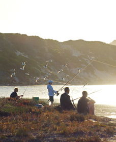 Culham Inlet - Hotel Accommodation 0