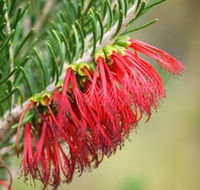 Ethel Daw Scenic Drive