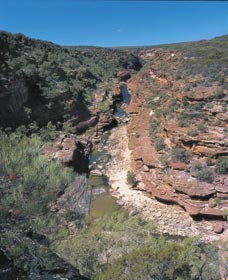 Ross Graham Lookout - Hotel Accommodation 0