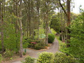 Mount Lofty Botanic Garden - Hotel Accommodation 0