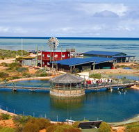 Ocean Park Aquarium - Hotel Accommodation