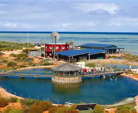 Ocean Park Aquarium - Hotel Accommodation 0