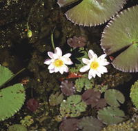 Parry Lagoons Nature Reserve