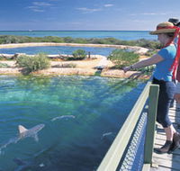 Shark Bay Marine Park