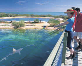 Shark Bay Marine Park - Hotel Accommodation 0