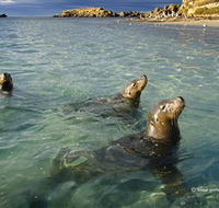 Shoalwater Islands Marine Park - Hotel Accommodation