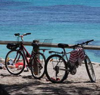 Parker Point Marine Snorkel Trail - Hotel Accommodation