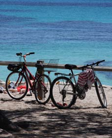 Parker Point Marine Snorkel Trail - Hotel Accommodation 0