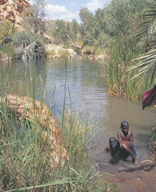 Palm Springs - Hotel Accommodation 0