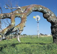 Greenough Leaning Trees - Hotel Accommodation