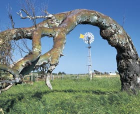 Greenough Leaning Trees - Hotel Accommodation 0