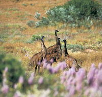 Jurabi Coastal Reserve