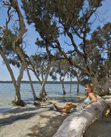 Stokes National Park - Hotel Accommodation 0