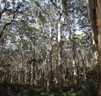 Boranup Karri Forest - Hotel Accommodation
