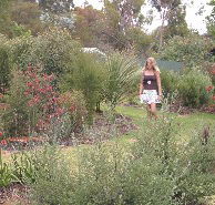 The Mythic Mazes - Hotel Accommodation