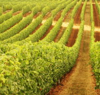 Xanadu Wines - Hotel Accommodation