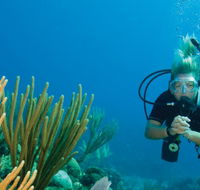 Coastal Water Dive - Hotel Accommodation